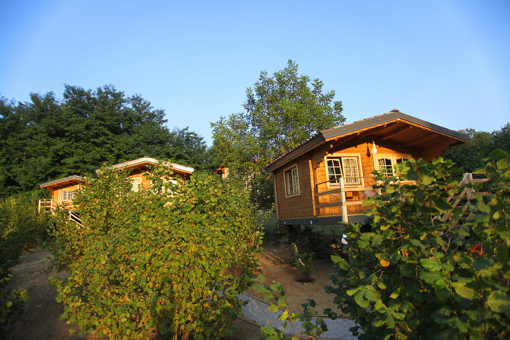 Ecolodge Langhe Cherasco Exterior foto